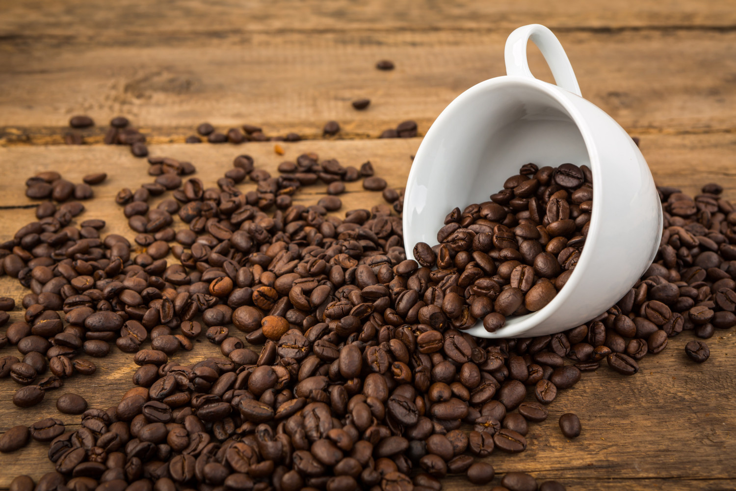 Caffè: le previsioni del CONAB per il 2022
