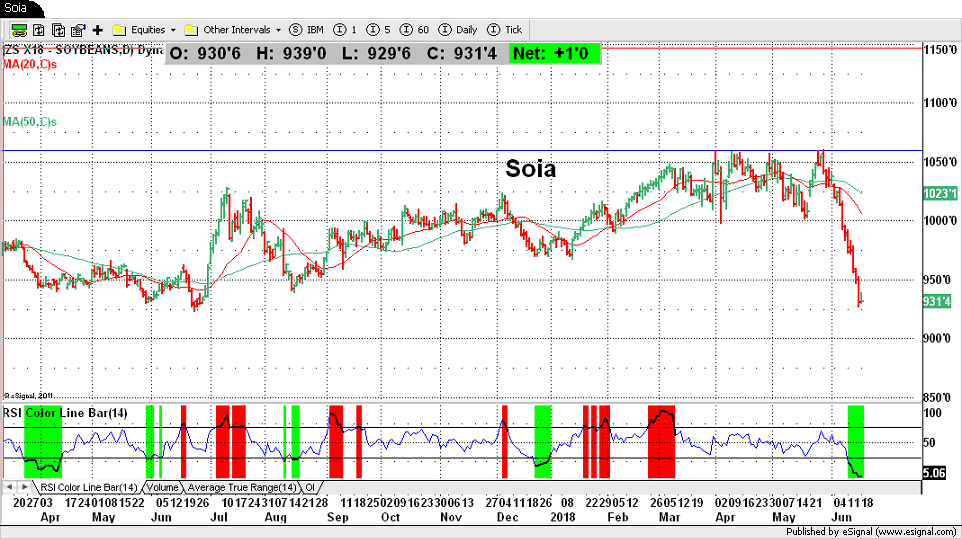 Soia