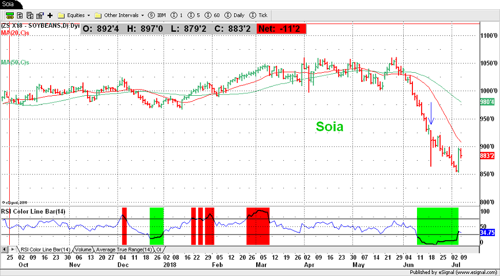 Soia