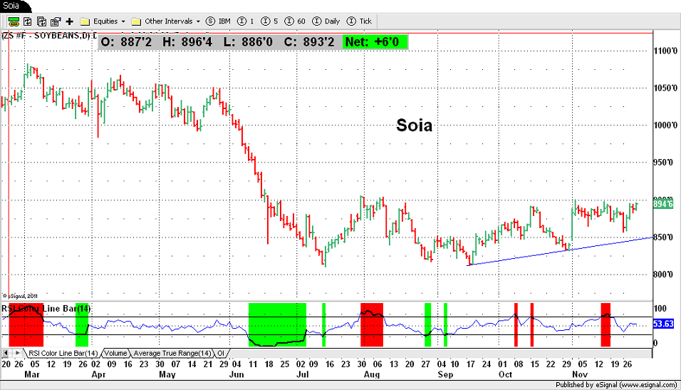 Soia