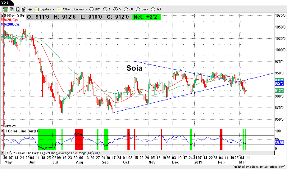 Soia