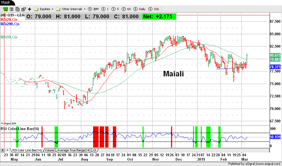 Maiali