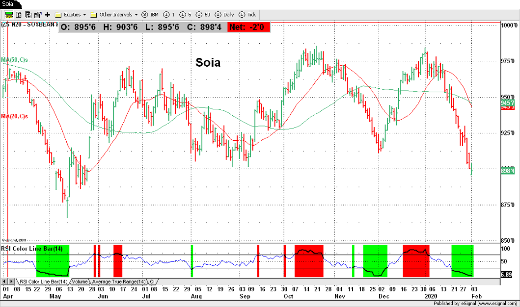 Soia