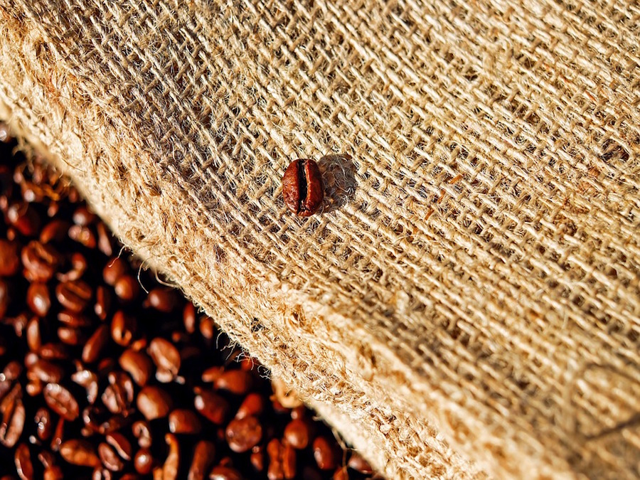 Caffè, Brasile: le precipitazioni eccessive potrebbero pregiudicare il raccolto
